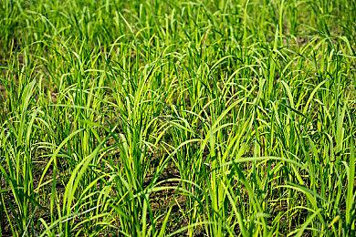 赚麻了！Switch世代总利润已超任天堂此前35年利润总和